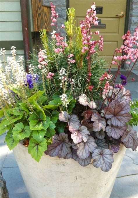 Read more on the 48 flowers compiled below to decide which option suits your needs. Pin by Stately Kitsch on From Stately Kitsch | Container ...