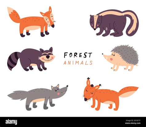 Collection Of Forest Animals Vector Illustration On A White Isolated