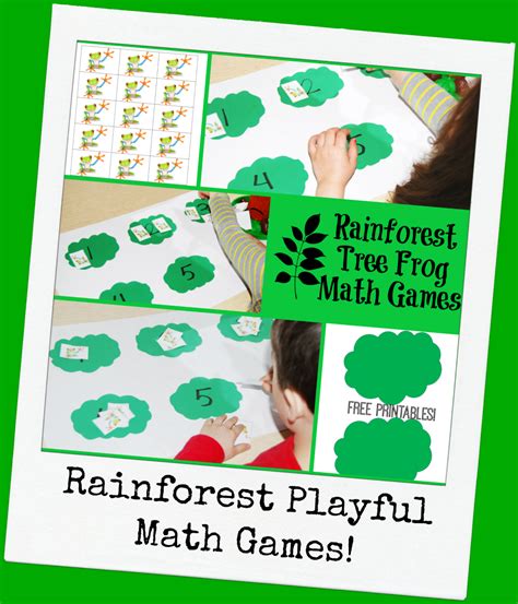 Rainforest Tree Frog Math Games For Preschoolers The Preschool