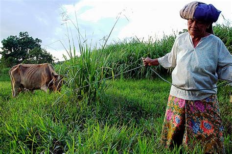 Duduk sama rendah, berdiri sama tinggi maksud : LATEST INFO "LEMBU DICUCUK HIDUNG" ~ SUARA KESATUAN ...