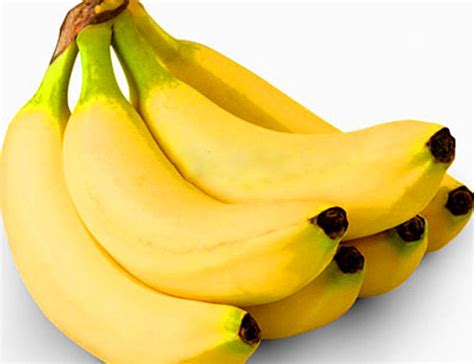 There is less heat and water stress associated with planting then for you and your trees! Promotion!200 Pcs Banana Fruit Treesmilk Tasteoutdoor ...