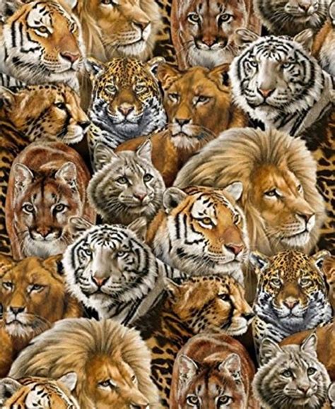 Auf unserer website haben bereits 9 menschen fragen zu ihrem haustier. 0,5m Löwe, Puma, Tiger, Gepard, Baumwolle, Baumwollstoff ...