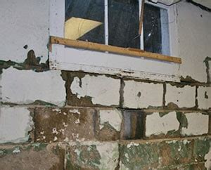 Removing Black Mold from Concrete Patio, Basement, Floor ...