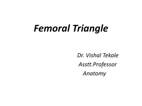 Ppt Femoral Triangle Powerpoint Presentation Free Download Id11010550