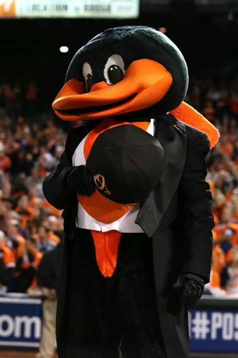 Virtual oriole bird appearances include a 5 to 15 minute virtual appearance including games, trivia, and/or the hot dog race. Oriole Bird | Baltimore orioles baseball, Orioles, Orioles baseball