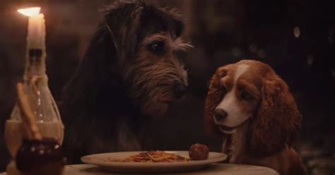 New Live Action Lady And The Tramp Trailer Features Canine Flirting