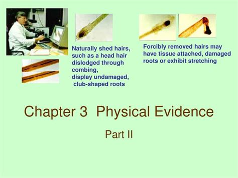 Ppt Chapter 3 Physical Evidence Powerpoint Presentation Free