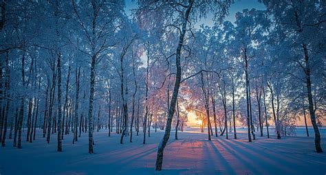 1080x2340px Free Download Hd Wallpaper Morning Winter Ice Snow