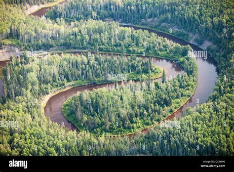 Boreal Forest In Northern Alberta Canada Near Fort Mcmurray Stock