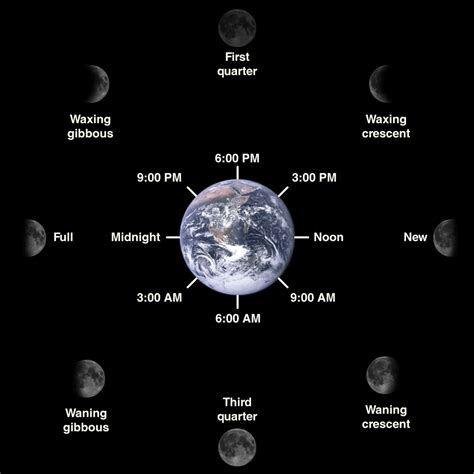 Do Lunar Phases Actually Affect The Bite