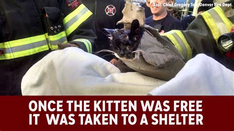 Fire Crew Rescues Kitten Trapped In Dumpster Youtube