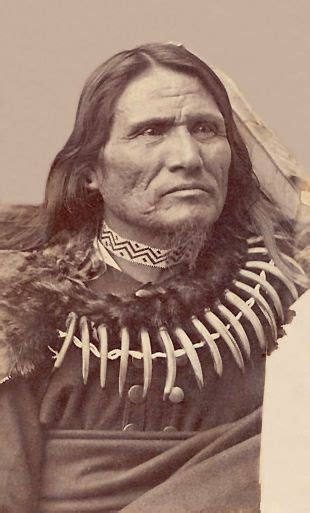 Standing Bear Ponca Chief Late 1800s Native American Beauty Native