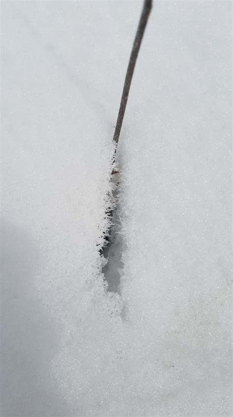Forget The Snow Globes: The Brutal Truth About Winter