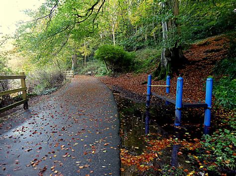 Fallen Leaves Along The Highway To © Kenneth Allen Geograph Ireland