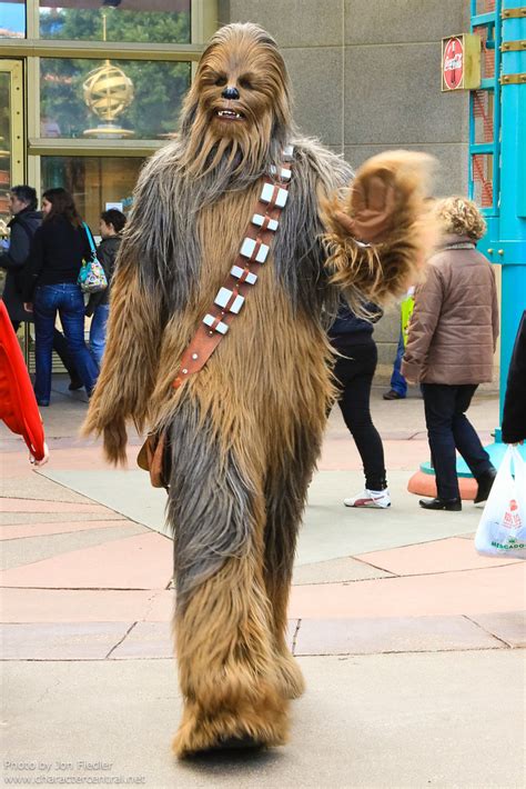 Chewbacca At Disney Character Central