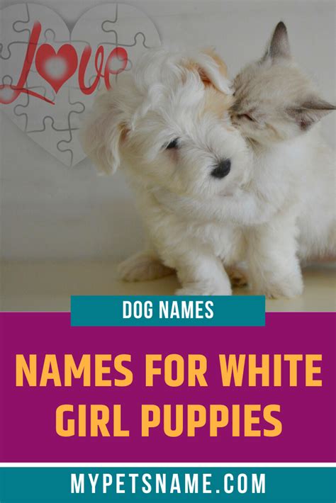 Check spelling or type a new query. Pin on Girl Pet Names