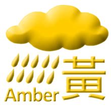 中央纪委 旗帜网 中联部 统战部 中编办 新闻办 香港中联办 澳门中联办 中国残联 中国文联 致公党 民进 中国西藏网 信用中国 求是网 北京冬奥组委官网 中. 今早香港大雨 天文台发黄雨警告 - 维基新闻，自由的新闻源