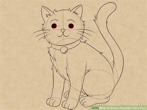 How to draw a cat. How to Draw a Realistic Cat's Face: 11 Steps (with Pictures)