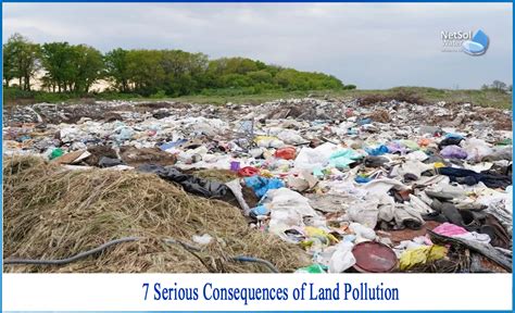 What Are The Consequences Of Land Pollution Netsol Water