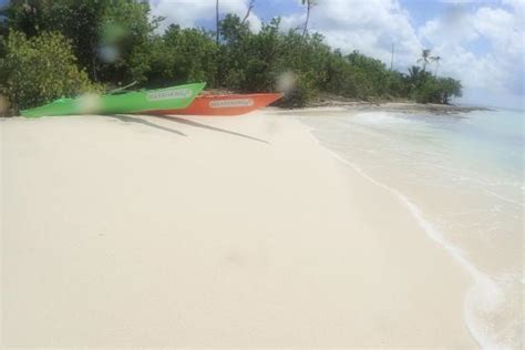 sea kayaking dominican republic bayahibe republik dominika review tripadvisor
