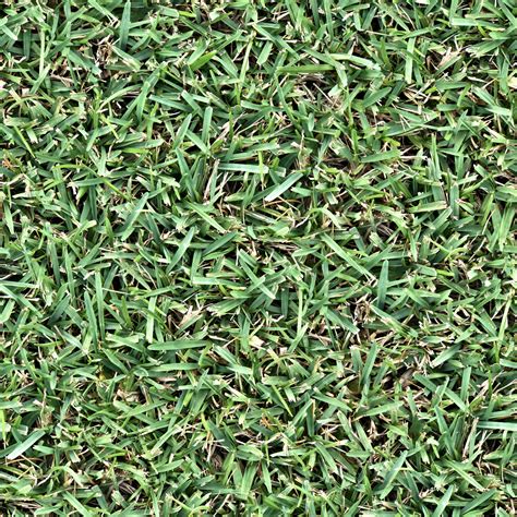 High Resolution Textures Seamless Up Close Grass Leaf Blades Texture