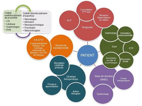 Parcours De Soins Coordonné Association Neuro Bretagne Rennes