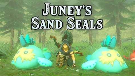 Juneys Stuffed Sand Seal Toys Encounter Youtube