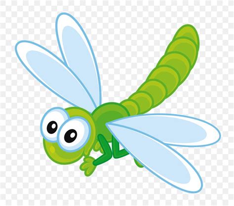 Insect Bee Dragonfly Clip Art Png 800x722px Insect Bee Butterfly