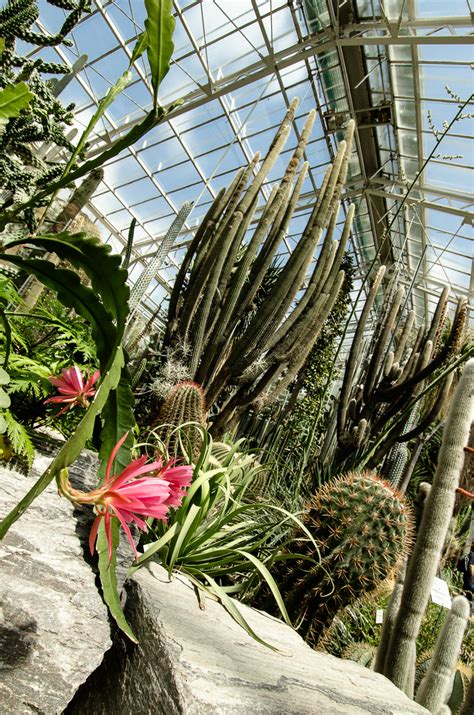 Ideal für familien, gruppen, paare. Bonsaiausstellung im botanischen Garten München-Nymphenburg