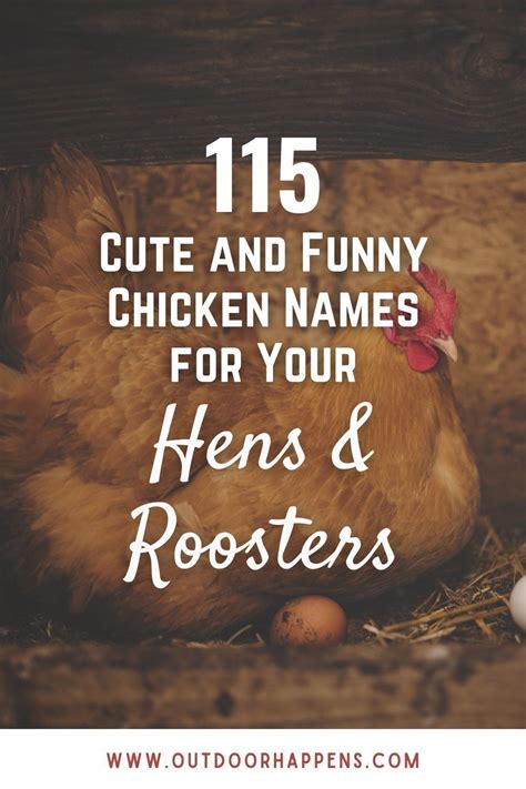 115 Cute And Funny Chicken Names Funny Chicken Names Chicken Names
