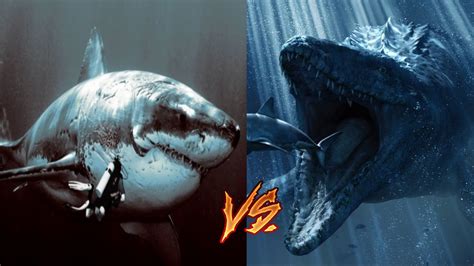Megalodon vs Mosasaur-My Thoughts - YouTube