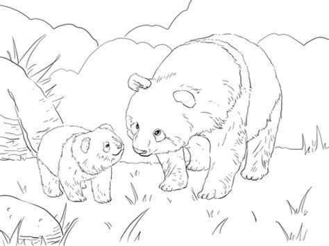 Search through 623,989 free printable colorings at getcolorings. Mother Panda with Cute Cub coloring page | Super Coloring