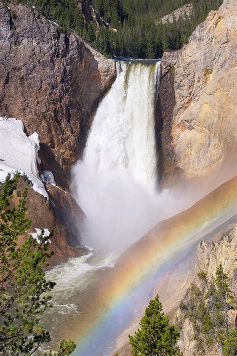 Lower Falls With Rainbow Yellowstone National Park Photograph By