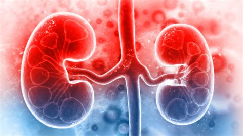 Fewer patients sought treatment for kidney failure in early months of