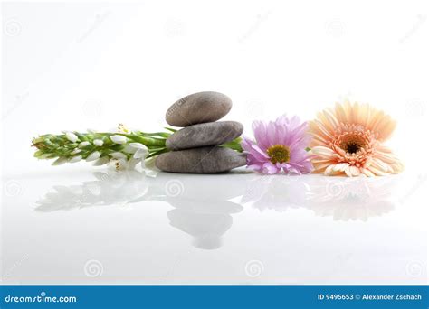 Flowers And Stones Spa Theme Stock Image Image Of Natural Mental