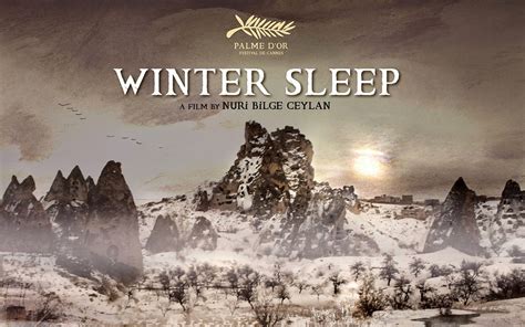 Winter Sleep 2014 Vinyl Writers