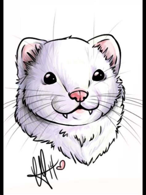 Ferret Portrait Animal Sketches Cute Animal Drawings Cool Art