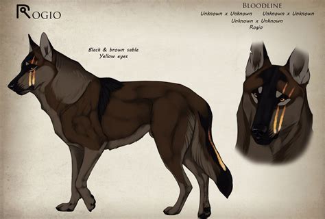 Midnight by yellow eyes deviantart com on deviantart animated. Rogio by Joann-N | Animal art, Wolf sketch, Yellow eyes