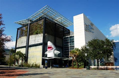 We have reviews of the best places to see in charleston. SC Aquarium - Charleston South Carolina SC