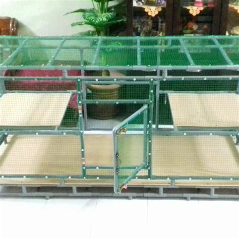 Cara membuat sangkar kucing d i y menggunakan pvc paip jimat habis. Kumpulan Get - Quotes Blog o