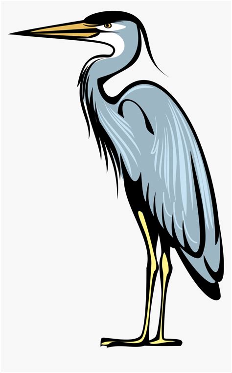 Great Blue Heron Bird Crane Heraldry Great Blue Heron Clipart Hd Png