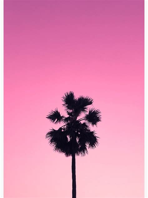 Pink Sky Palm Tree Poster For Sale By Newburyboutique Redbubble