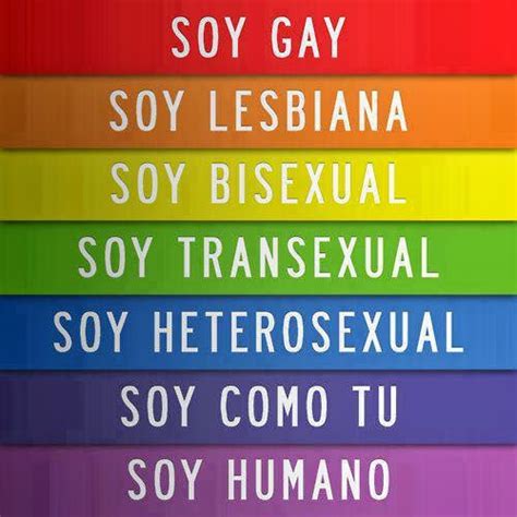 Derecho Mexicano El Derecho Los Derechos Humanos Y La Diversidad Sexual