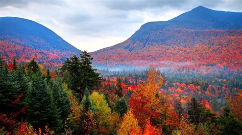 Enjoy The Changing Of The Seasons With Autumnwatch — New England