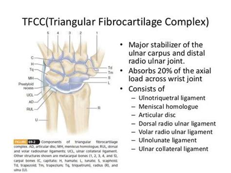 Tfcplus is a pack centered around terrafirmacraft, and changes many of the recipes from other mods to use the systems in place for tfc. Pin on TFCC Injury - Daelyn's wrist injury