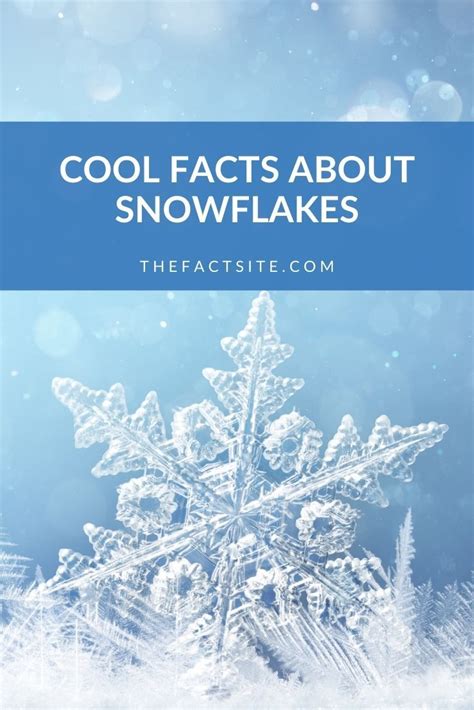 Cool Facts About Snowflakes The Fact Site