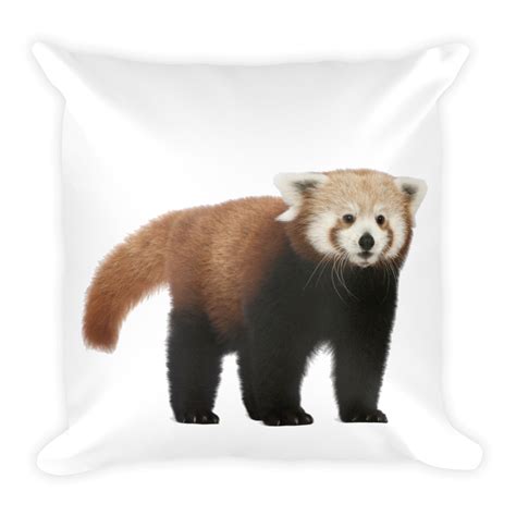 Red Panda Print Square Pillow Panda Print Red Panda Square Pillow