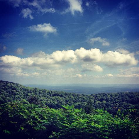 Dog friendly cat friendly air conditioning dishwasher parking. Monte Sano, Huntsville AL | ONE goal at a time | Pinterest
