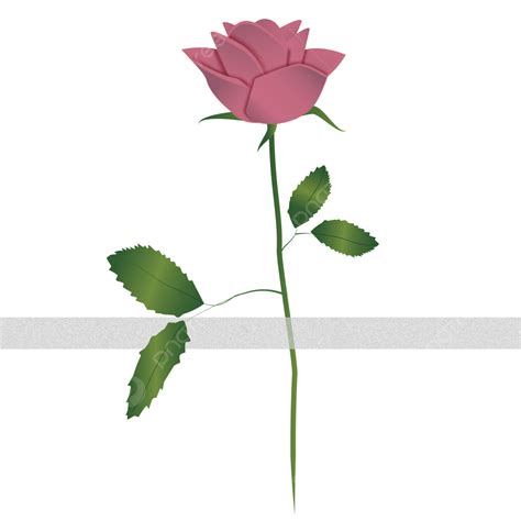 Flor Rosa Png Rosa Flor Rosa Clipart Imagem Png E Vetor Para