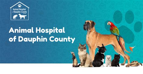 Animal Hospital of Dauphin County | Veterinarians in Harrisburg